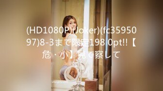 (HD1080P)(Joker)(fc3595097)8-3まで限定198 0pt!!【危・小】見て察して