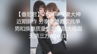 【番尼君】2024年淫妻大神近期新作 分享老婆喜欢找单男和换妻质量挺高淫乱大场面无第三方水印 (1)