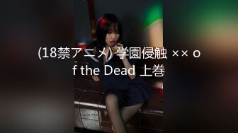 (18禁アニメ) 学園侵触 ×× of the Dead 上巻