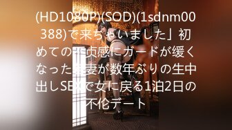 (HD1080P)(SOD)(1sdnm00388)で来ちゃいました」初めての不贞感にガードが缓くなった若妻が数年ぶりの生中出しSEXで女に戻る1泊2日の不伦デート