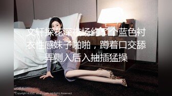 文轩探花深夜场约了个蓝色衬衣性感妹子啪啪，蹲着口交舔弄侧入后入抽插猛操