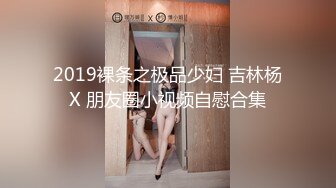 2019裸条之极品少妇 吉林杨X 朋友圈小视频自慰合集