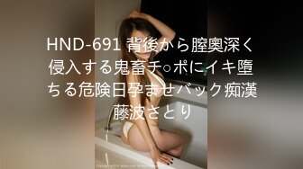 HND-691 背後から膣奧深く侵入する鬼畜チ○ポにイキ墮ちる危険日孕ませバック痴漢 藤波さとり