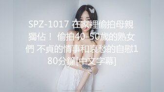 SPZ-1017 在家裡偷拍母親 獨佔！ 偷拍40-50歲的熟女們 不貞的情事和哀愁的自慰180分鐘[中文字幕]