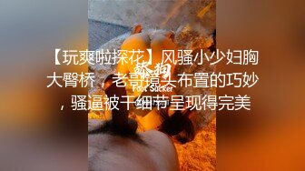 【玩爽啦探花】风骚小少妇胸大臀桥，老哥镜头布置的巧妙，骚逼被干细节呈现得完美